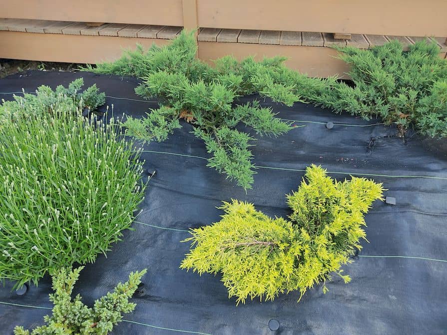 Gartenvlies am Hang mit Bepflanzung